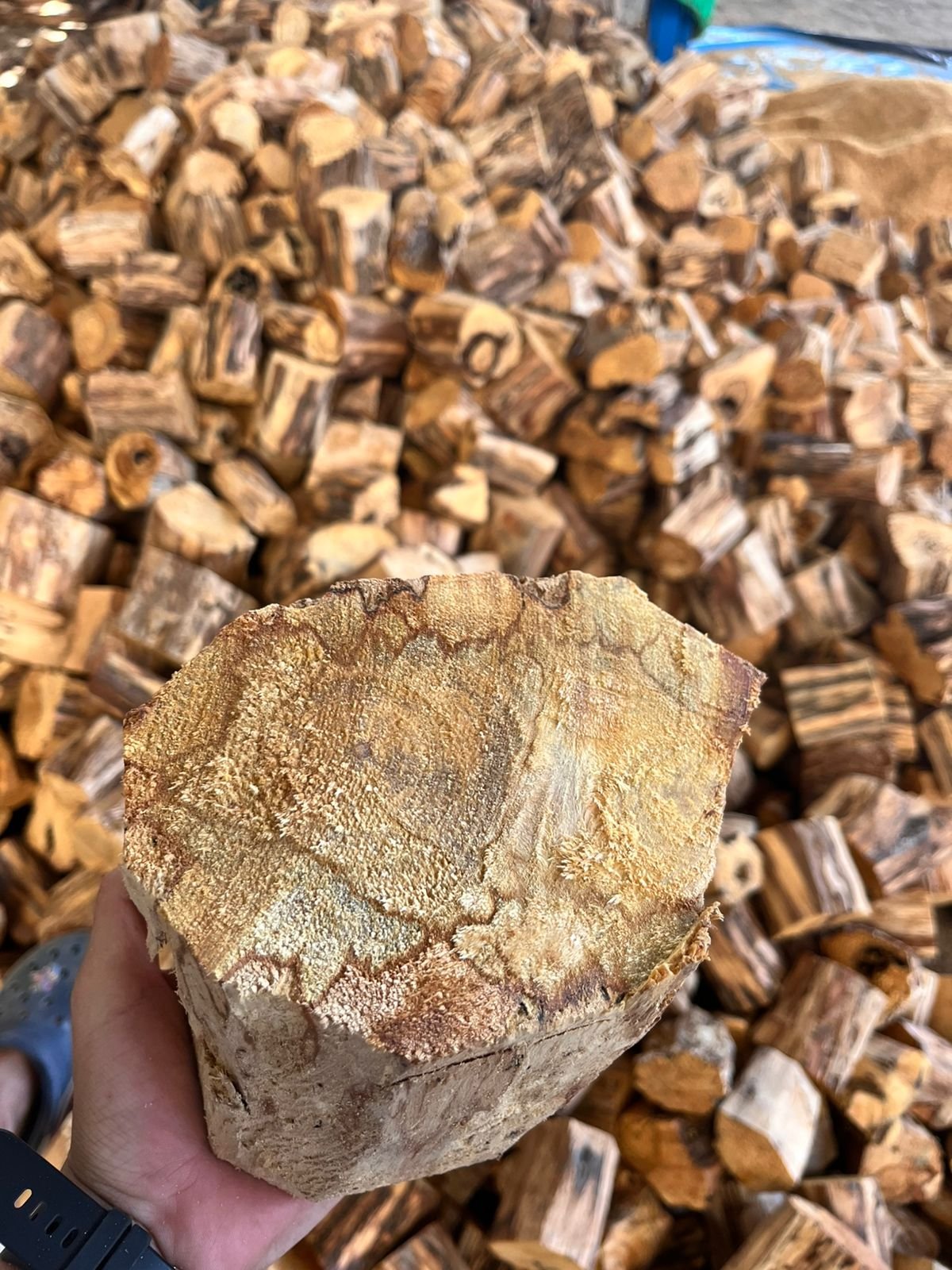 Palo Santo en Stiks - Imagen 9